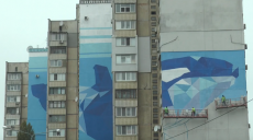 Косатка — на три будинки: на Олексіївці з’явився новий мурал