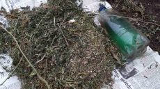 Полиция обнаружила 3 килограмма конопли в Харьковской области (фото)