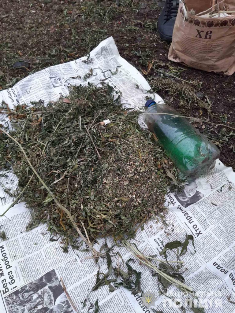 Полиция обнаружила 3 килограмма конопли в Харьковской области (фото)