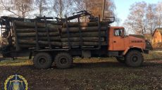 Восемь должностных лиц Октябрьского лесхоза подозреваются в растрате