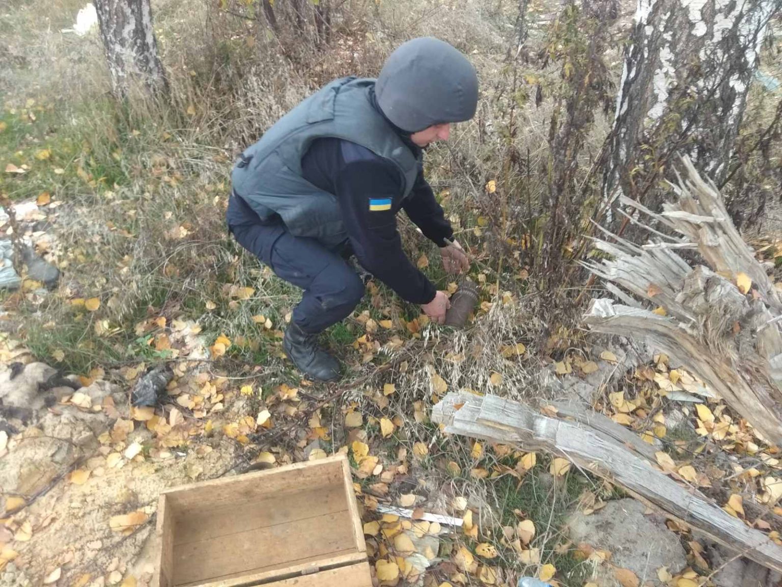 В лесу на Харьковщине нашли около ста снарядов и мин (фото)