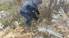 В лесу на Харьковщине нашли около ста снарядов и мин (фото)