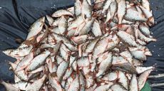Задержан браконьер с крупным уловом рыбы (фото)