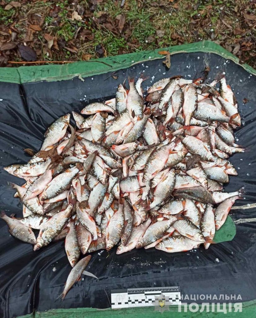 Задержан браконьер с крупным уловом рыбы (фото)