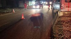 Два пешехода за сутки погибли на Харьковщине (фото)