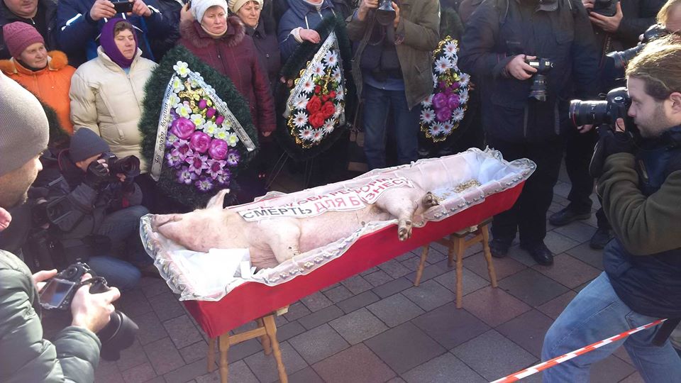 «Битва за свинью». Рада рассматривает законы о рынке земли (видео)
