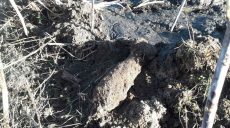 На Харьковщине за сутки обезвредили 76 снарядов и мин