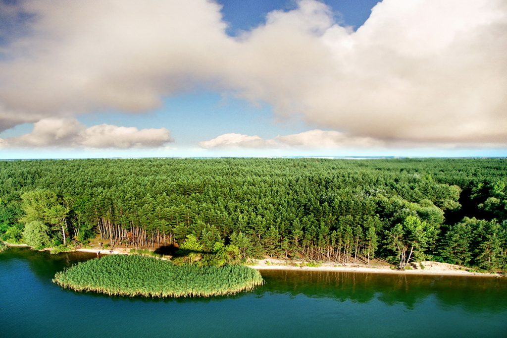 На Печенежском водохранилище незаконно приватизированы 10 га лесного фонда