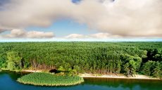 На Печенежском водохранилище незаконно приватизированы 10 га лесного фонда