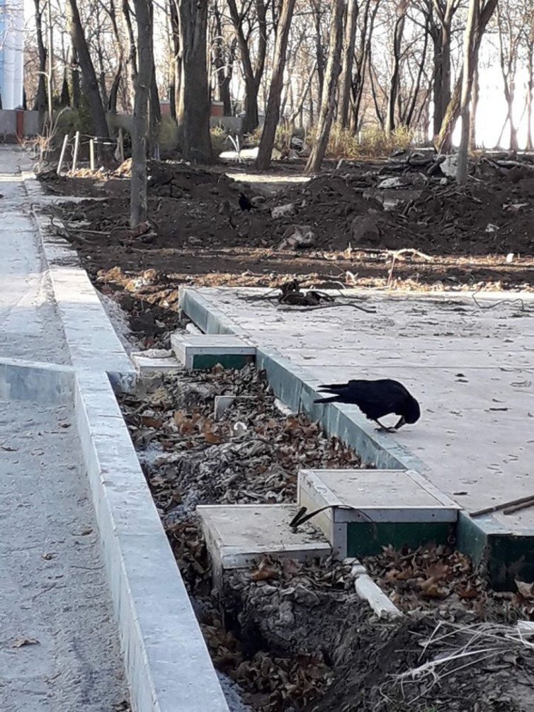 Молодежный парк бетонируют с нарушением охранной зоны возле могил — соцсети