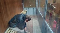 Подозреваемого в развращении племянницы отправили в СИЗО