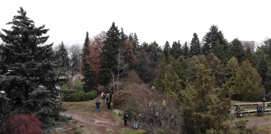 До 215-річчя університету Каразіна у Харкові висадили дерева (відео)