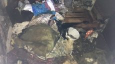 В Харькове на пожаре чуть не погибли двое детей (фото)
