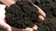 Правительство обнародует данные о продаже украинского чернозема
