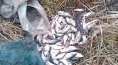 Краснооскольское водохранилище продолжает привлекать браконьеров (фото)