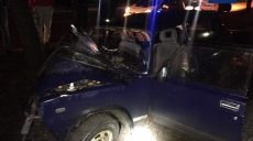 На бульваре Каркача водитель врезался в дерево (фото)