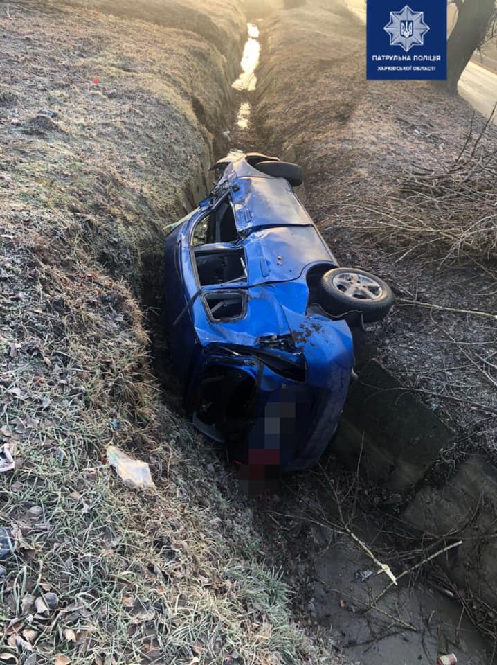 На ул. Беркоса Honda вылетела в кювет (фото)