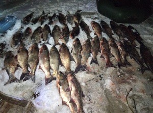 150 килограммов толстолоба: на Печенежском водохранилище задержан браконьер