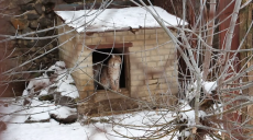 У Харківському зоопарку тварин перевели до зимових приміщень (відео)