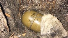 Дворник нашел часть гранаты в одном из дворов Шевченковского района