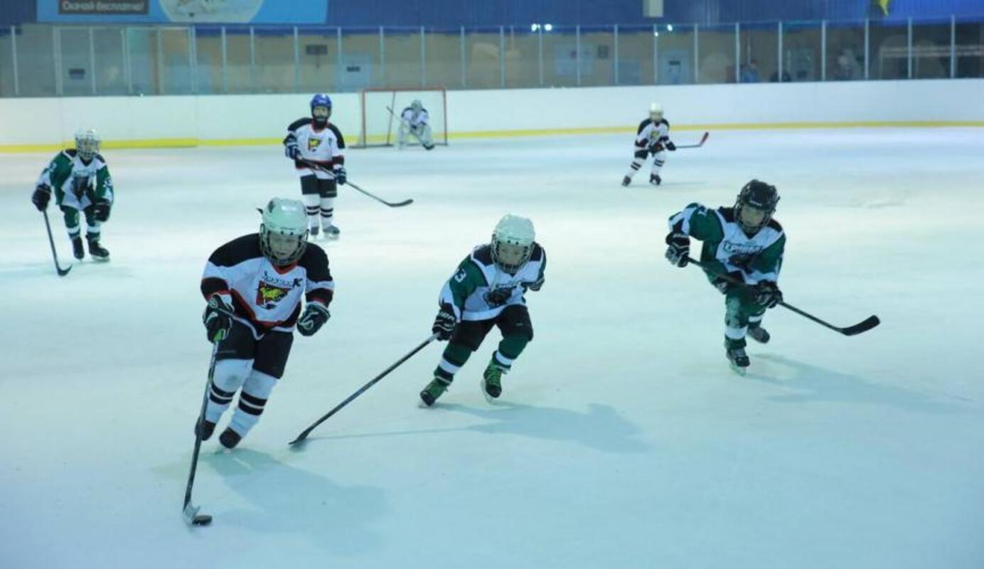 В Харькове состоится рождественский турнир по хоккею среди детей