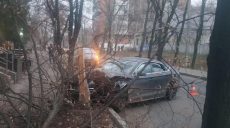 Водитель врезался в дерево (фото)