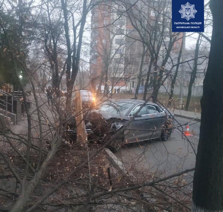 Водитель врезался в дерево (фото)
