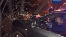 В Харькове очередной водитель столкнулся с деревом (фото)