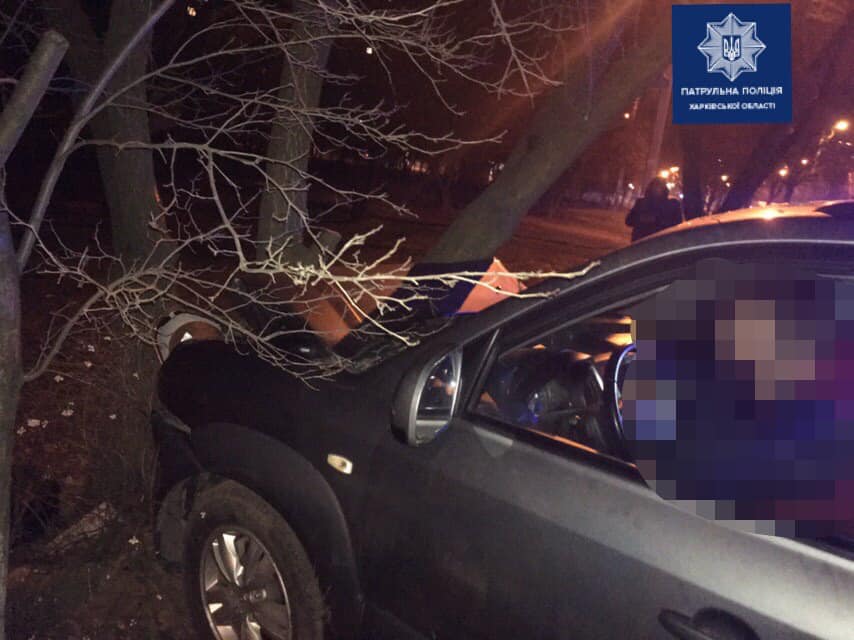 В Харькове очередной водитель столкнулся с деревом (фото)