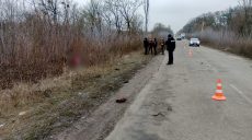 На обочине на Харьковщине найдено два трупа. Полиция подозревает ДТП