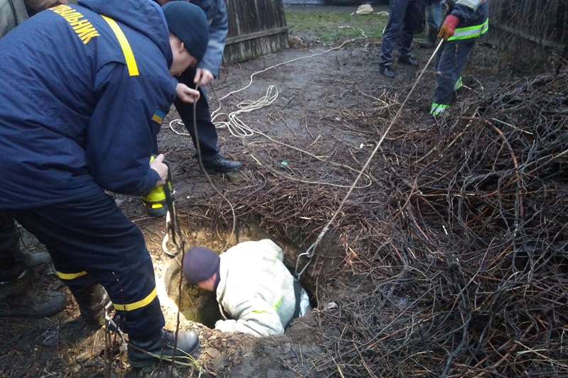 На Харьковщине 15 мужчин тянули из пятиметрового колодца теленка (фото)
