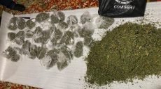 Полицейские за сутки нашли 8 кг каннабиса у жителей Харьковской области (фото)
