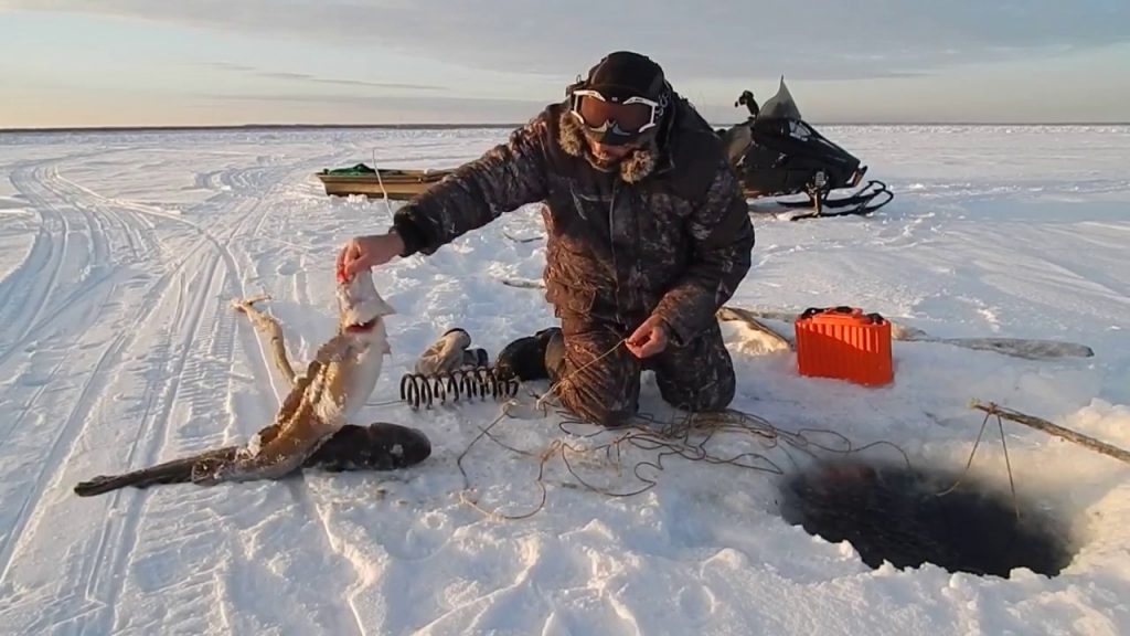 На Харьковщине продолжает действовать запрет ловли рыбы на зимовальных ямах