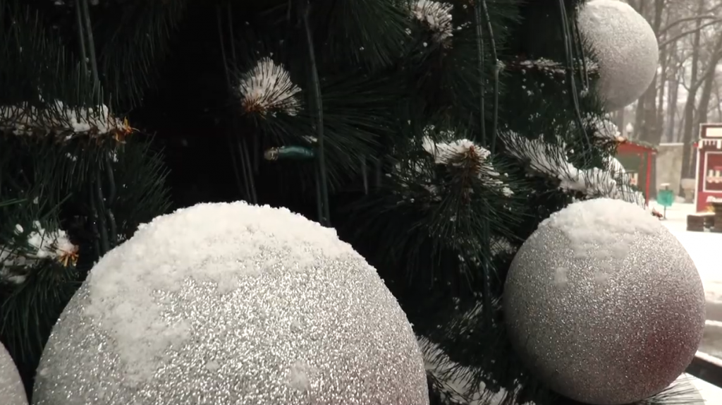 У Харкові засніжило: чи задоволені містяни справжньою зимовою погодою (відео)