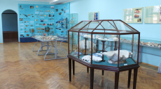 Уникальные выставки и интересные обновления ждут посетителей Харьковского музея природы (фото)