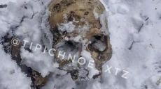 В Харькове на троллейбусной остановки нашли человеческие череп и кости (фото 18+)