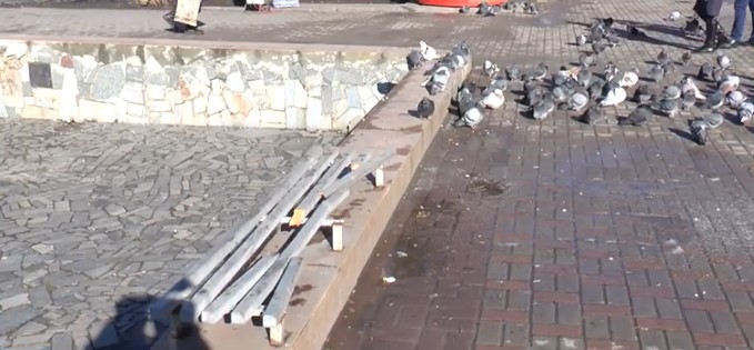 Жители Лозовой возмущенны разрушенными лавочками в городе (видео)