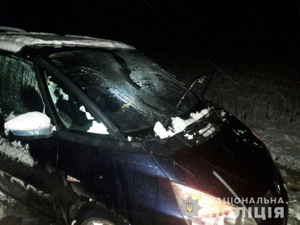 Водитель Renault насмерть сбил пешехода (фото, подробности)