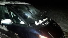 Водитель Renault насмерть сбил пешехода (фото, подробности)