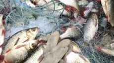За январь у браконьеров и на рынках Харьковщины изъяли 268 кг незаконно выловленной рыбы