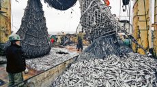 Рыбаки обеспокоены разворовыванием средств на зарыбление