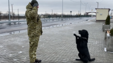 Прикордонний пес Льод відповідає на вітання «Слава Україні!»