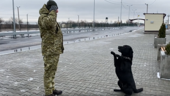 Прикордонний пес Льод відповідає на вітання «Слава Україні!»