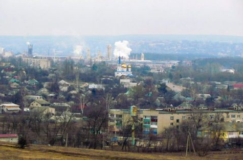 Собаки на Харківщині не дають проходу людям