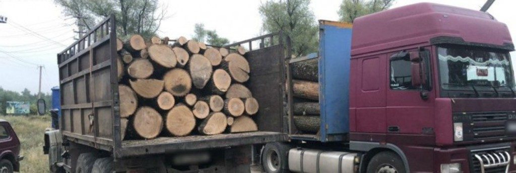 На Харьковщине зафиксированы объемы незаконной вырубки деревьев и ущерб от нее