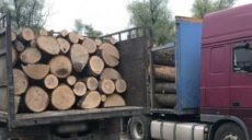 На Харьковщине зафиксированы объемы незаконной вырубки деревьев и ущерб от нее