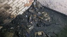 50 человек эвакуировали спасатели из-за пожара в подвале пятиэтажки (фото)