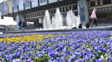 22 млн гривен выделили на цветы для Харькова