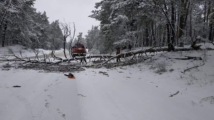 Непогода. Спасатели вытаскивают автомобили из сугробов и убирают упавшие деревья (фото)