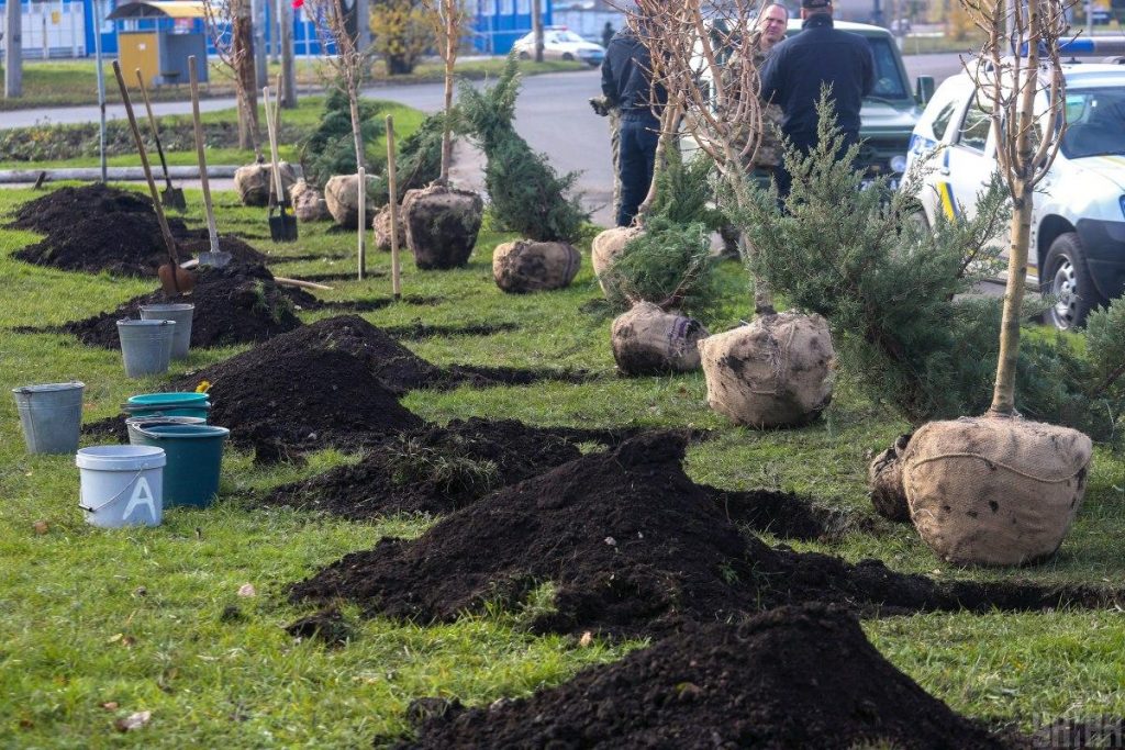 Активисты высадят миллион деревьев по всей Украине